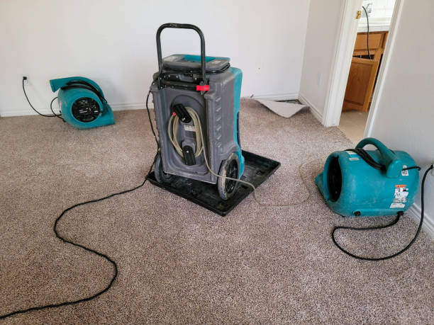 24/7 water damage repair in AL