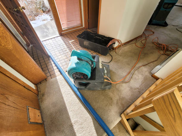 Best Water damage contractors near me  in Coker, AL