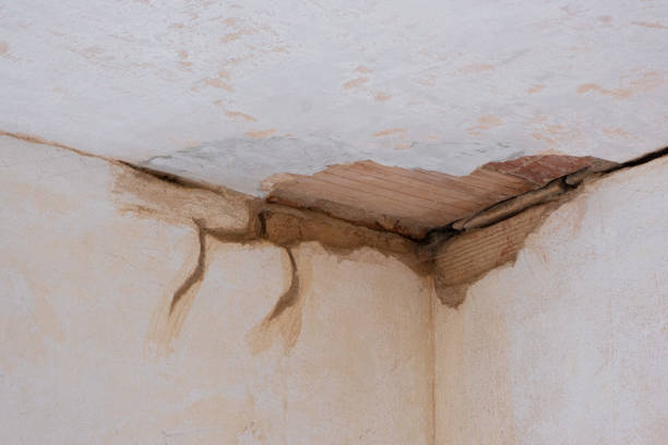 Best 24/7 water damage repair  in Coker, AL