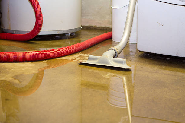 Best Water damage restoration company  in Coker, AL