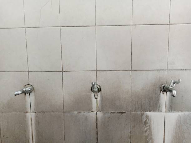 Best Water damage restoration services  in Coker, AL