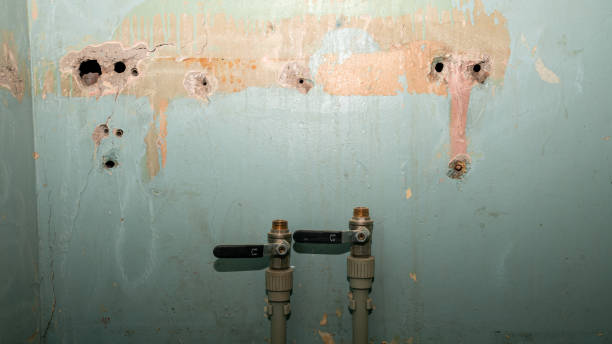 Best Commercial water damage restoration  in Coker, AL