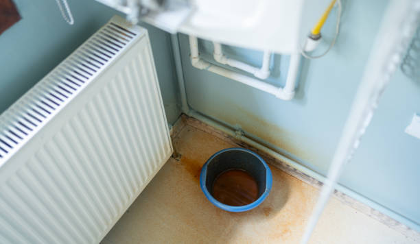 Best Water damage restoration near me  in Coker, AL