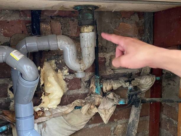 Best Mold removal after water damage  in Coker, AL