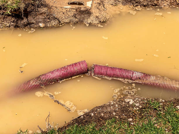 Best 24-hour water damage restoration  in Coker, AL