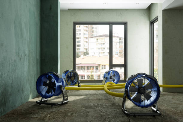 Best Commercial water damage restoration  in Coker, AL